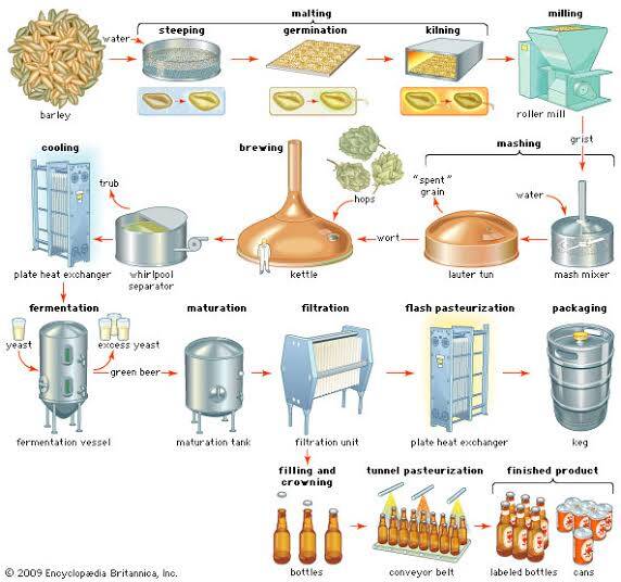 Bira Üretimi: Bira Nasıl Üretilir? Bira Üretimi Hammaddeleri 
