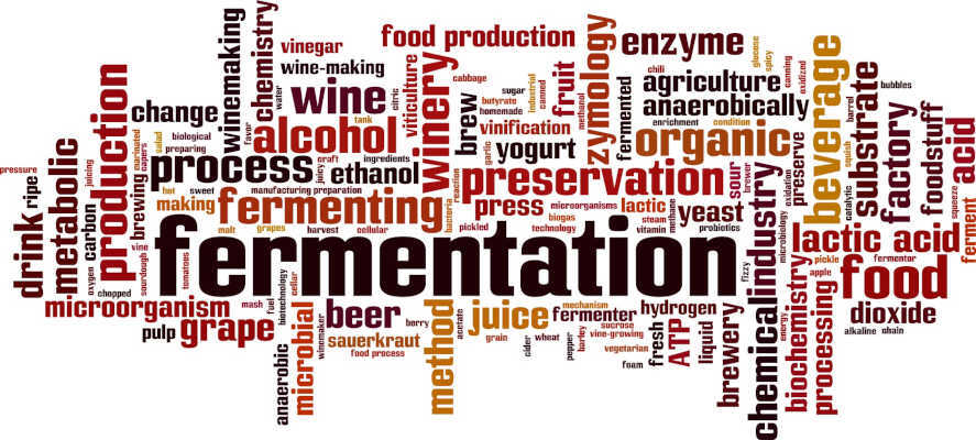 Bira Üretim Stilleri - Şartlar ve Çeşitler | Bira Üretim Prosesi & Aşamalar