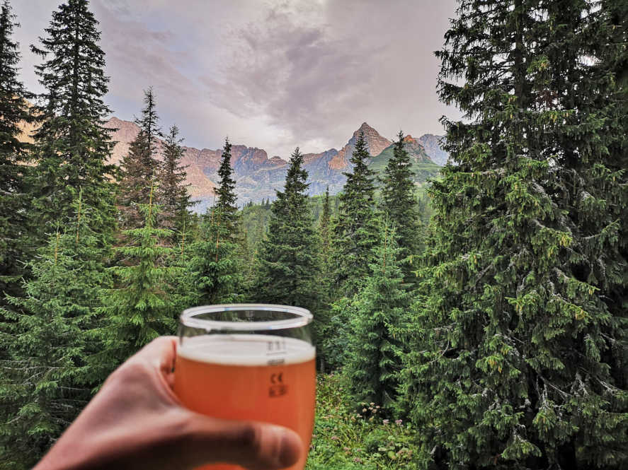 Bira Vegan Mı? Bira Neden Vegan Olmaz? Biradaki Hayvansal Gıdalar